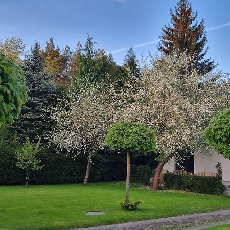 Pod Jablonia Vila Bydgoszcz Exterior foto