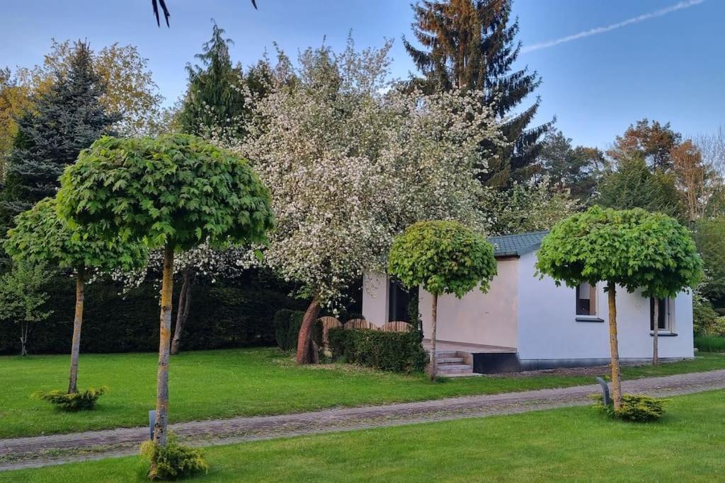 Pod Jablonia Vila Bydgoszcz Exterior foto